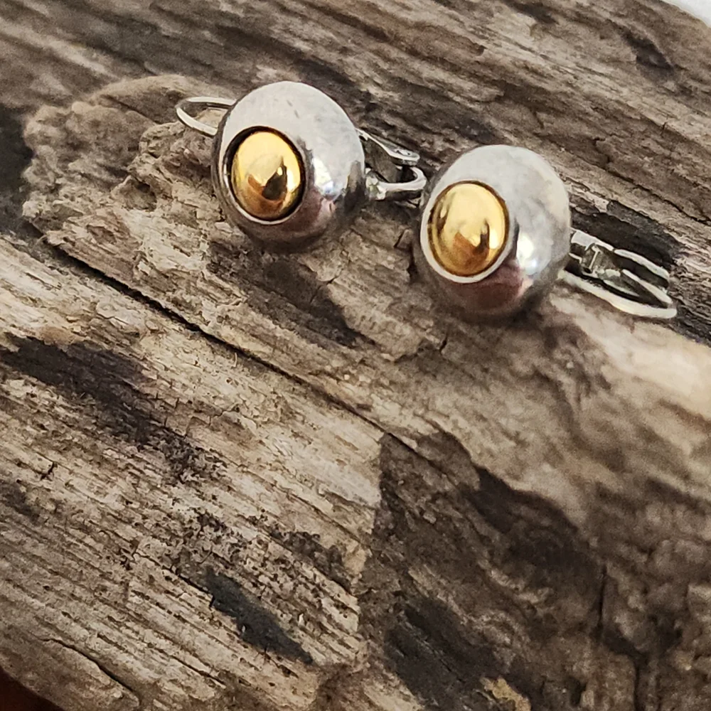 Two Toned Silver Toned and Gold Toned Circle Lever Back Earrings